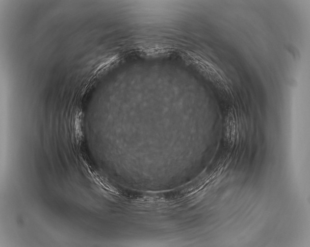 X0000112011346200908031258