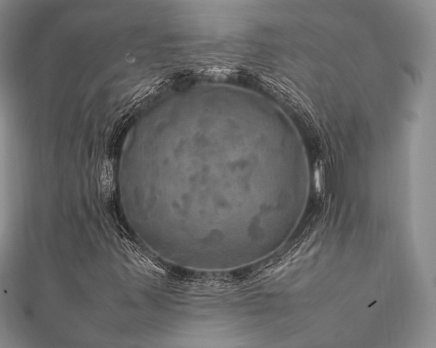 X0000112011347200908031258