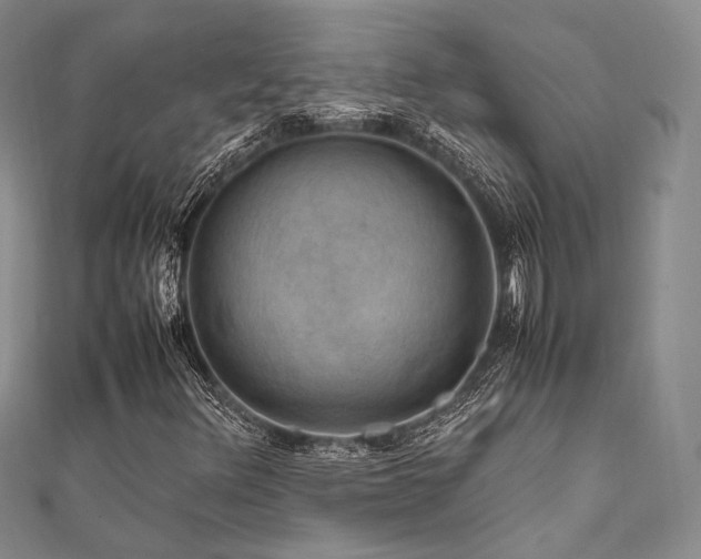 X0000112011348200908031258
