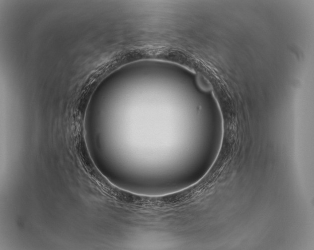 X0000112011349200908031258