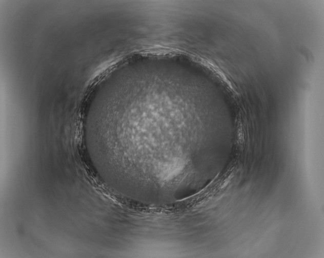 X0000112011350200908031258