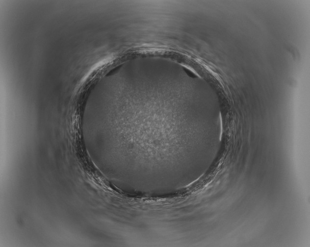 X0000112011351200908031258