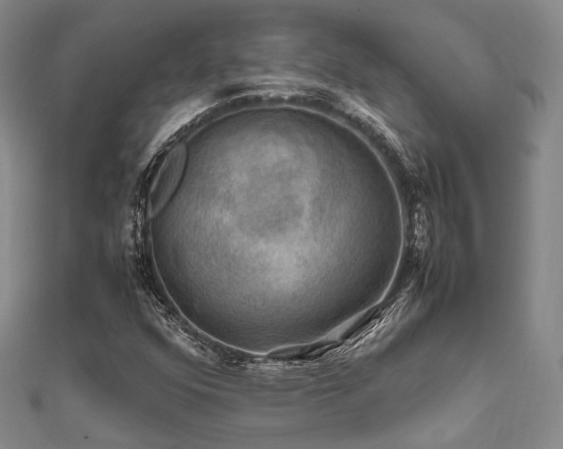 X0000112011352200908031258