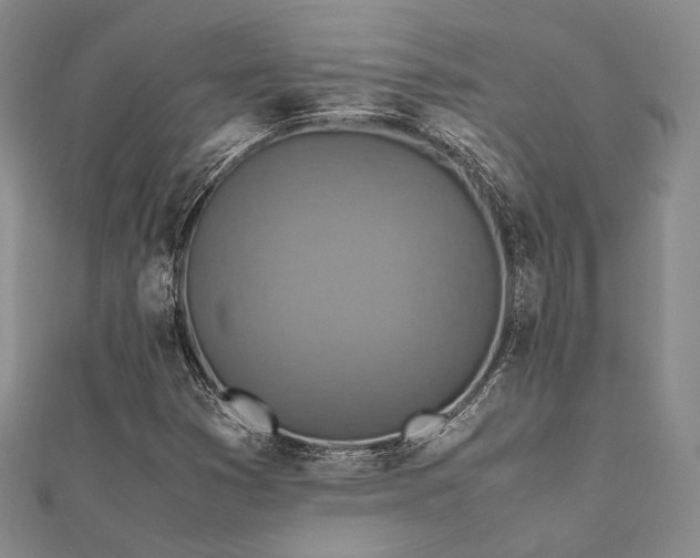 X0000112011353200908031258
