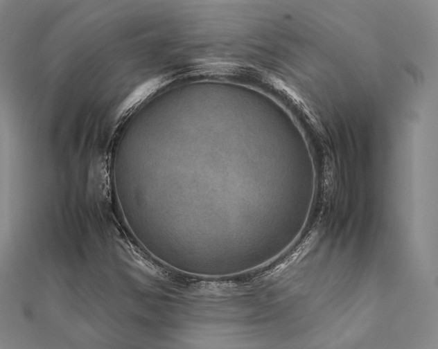 X0000112011354200908031258