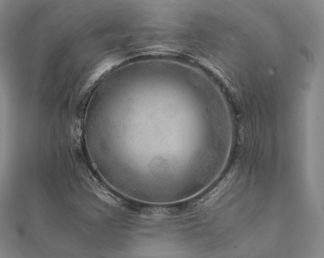 X0000112011355200908031258