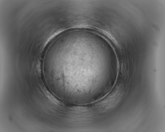 X0000112011356200908031258