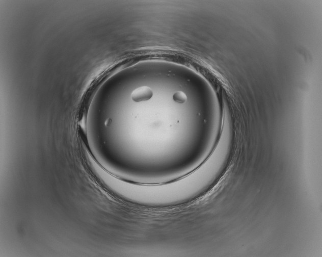X0000112011357200908031258
