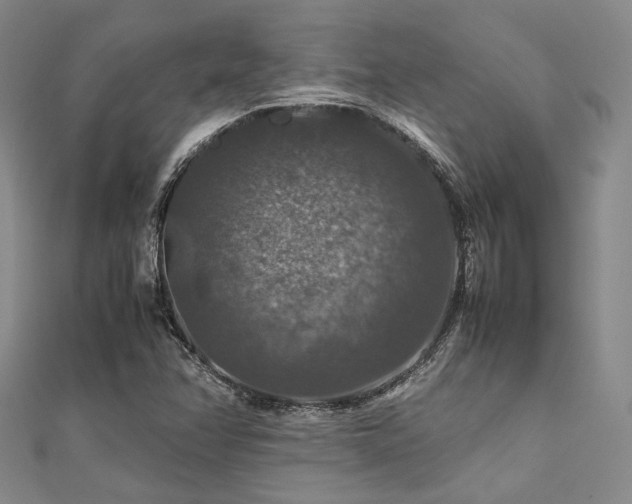 X0000112011358200908031258