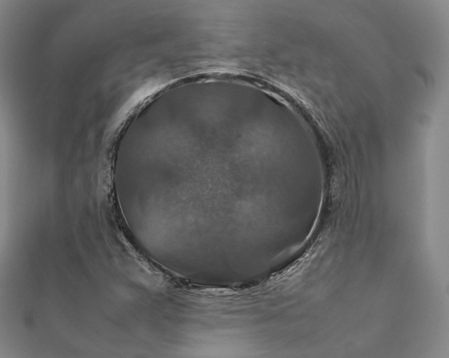X0000112011359200908031258