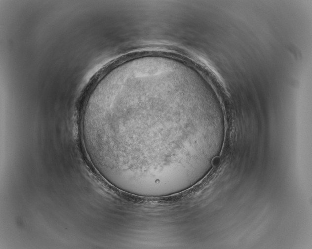 X0000112011360200908031258