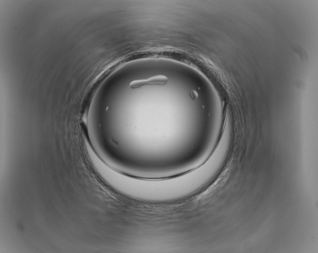 X0000112011361200908031258