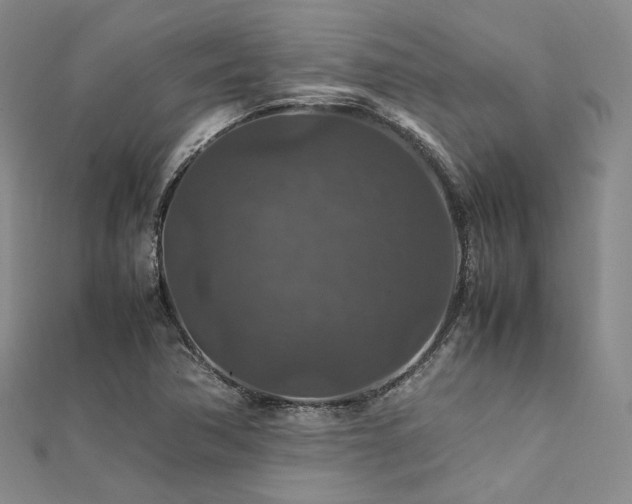 X0000112011362200908031258