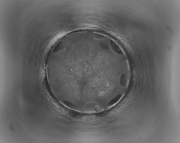 X0000112011363200908031258