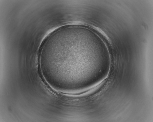 X0000112011364200908031258