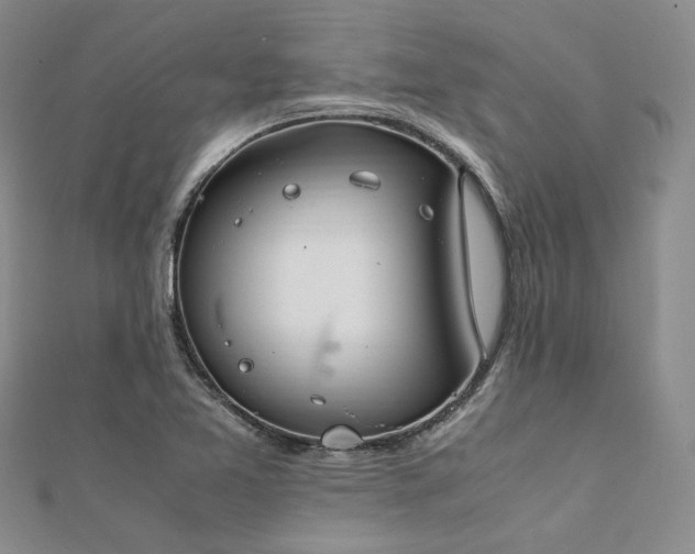 X0000112011365200908031258