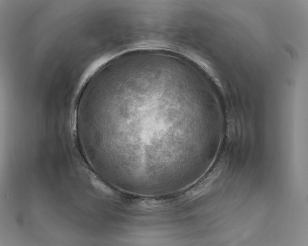 X0000112011366200908031258