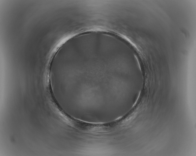 X0000112011367200908031258