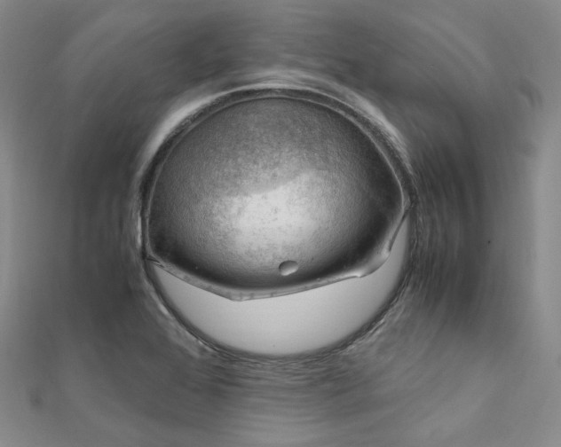 X0000112011368200908031258