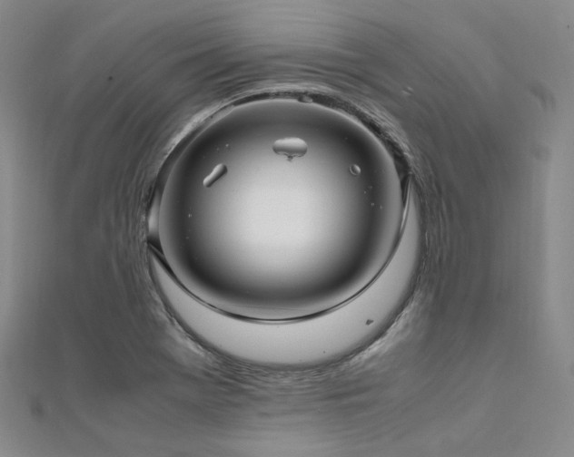 X0000112011369200908031258