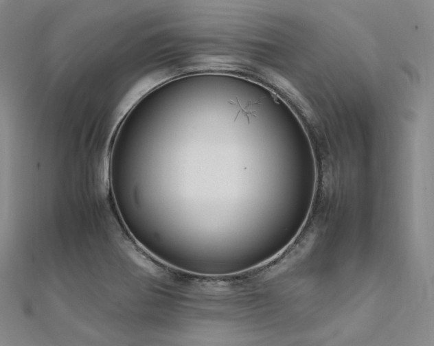 X0000112011370200908031258