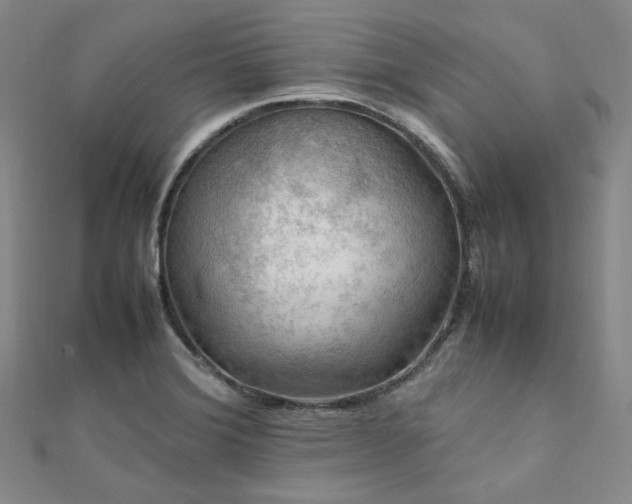 X0000112011372200908031258