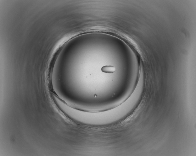 X0000112011373200908031258