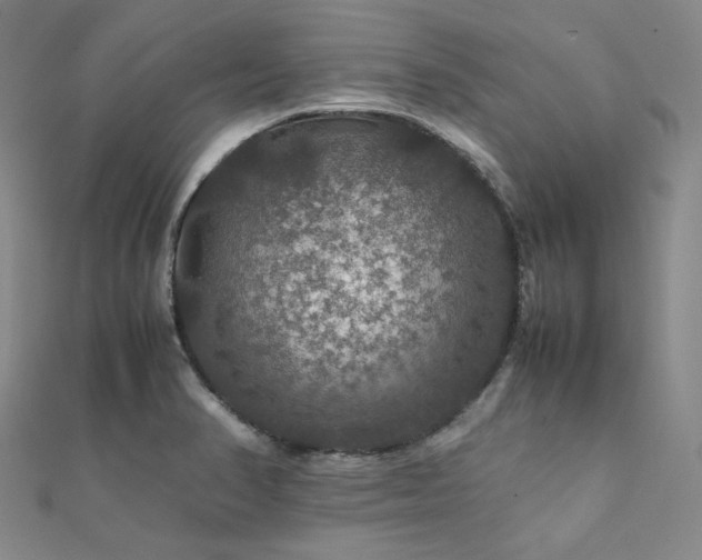 X0000112011374200908031258
