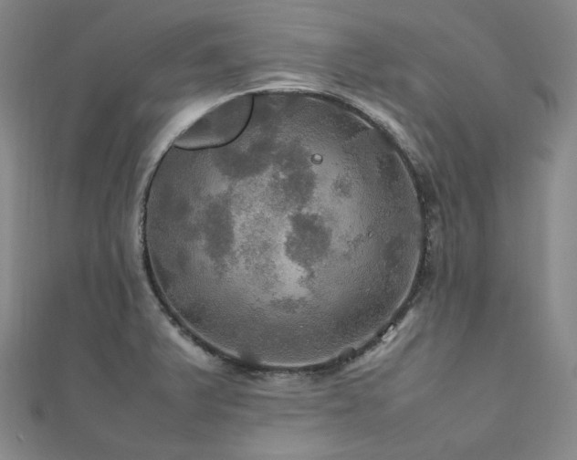 X0000112011375200908031258