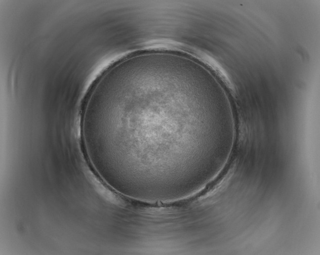 X0000112011376200908031258