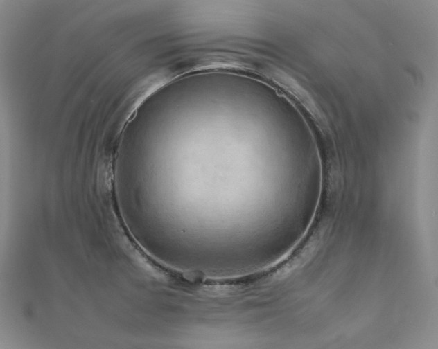 X0000112011377200908031258