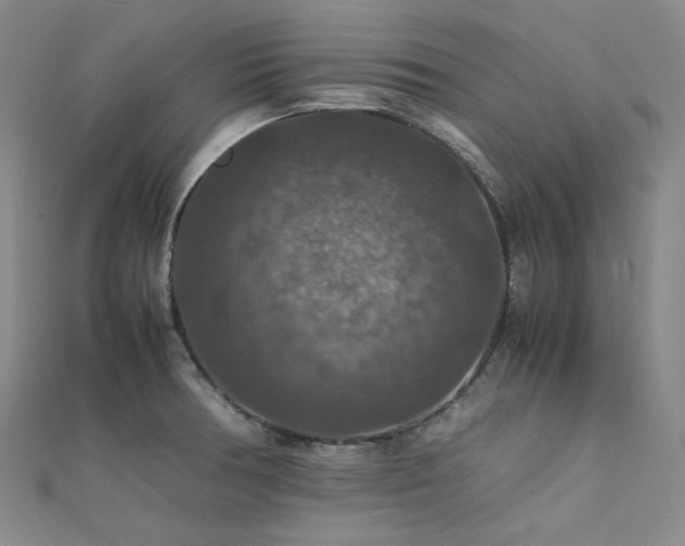 X0000112011378200908031258
