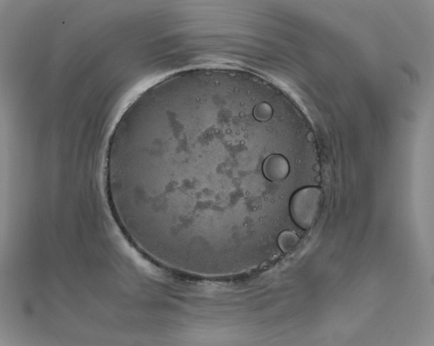 X0000112011379200908031258