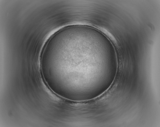 X0000112011380200908031258