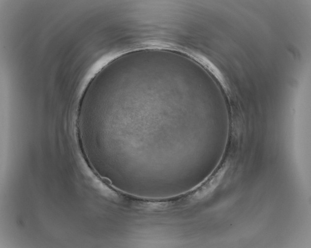 X0000112011381200908031258