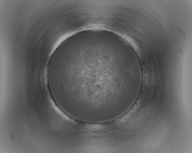 X0000112011382200908031258