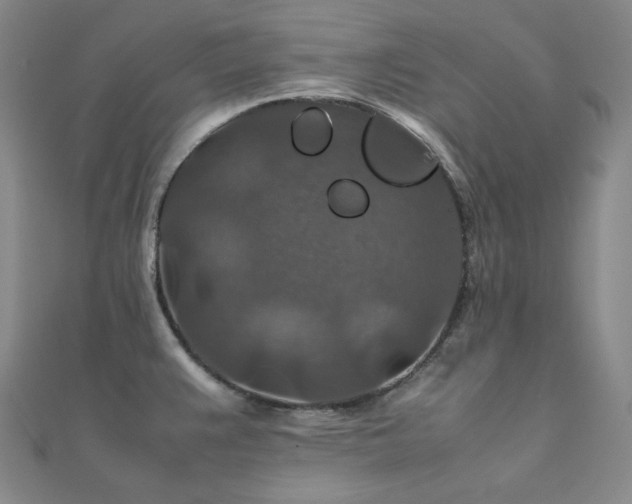 X0000112011383200908031258