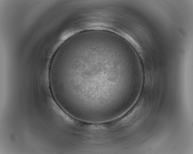 X0000112011384200908031258