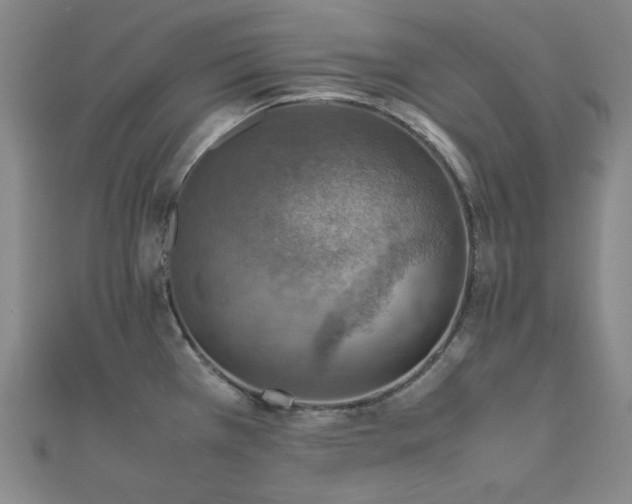X0000112011385200908031258