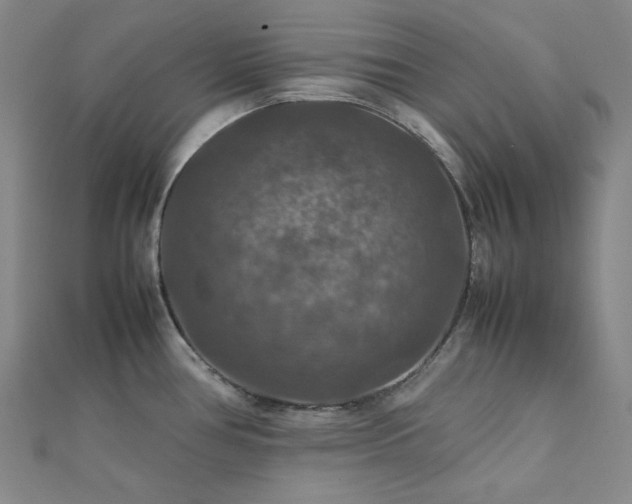 X0000112011386200908031258
