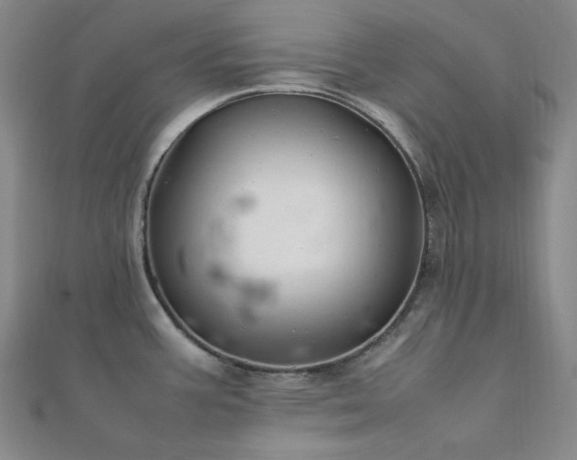 X0000112011387200908031258