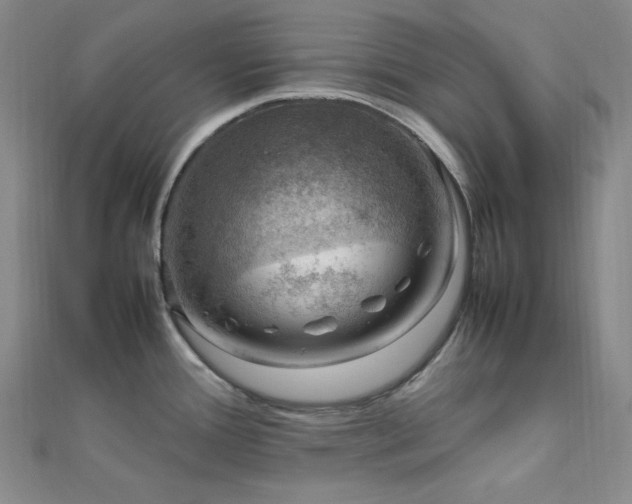 X0000112011388200908031258