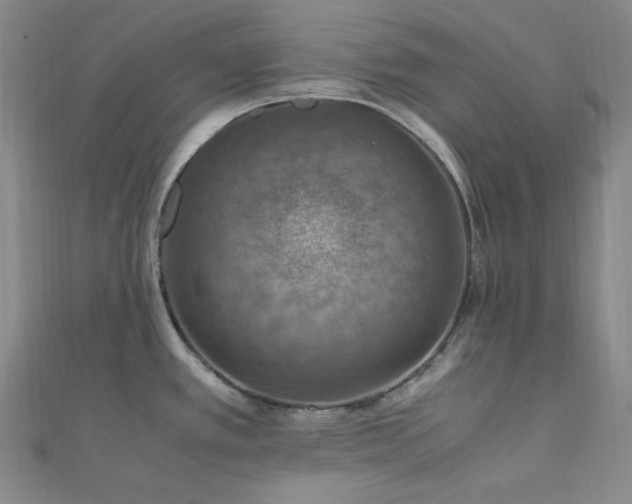 X0000112011389200908031258