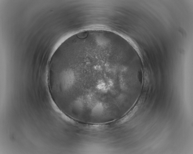 X0000112011390200908031258