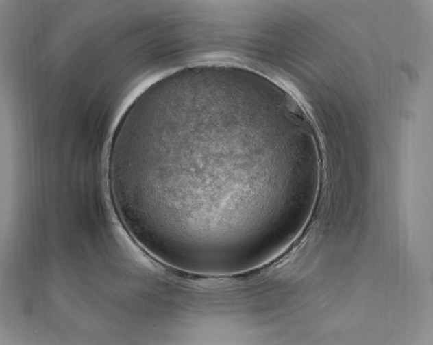 X0000112011392200908031258