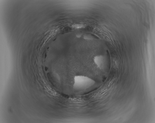 X0000112011393200908031257