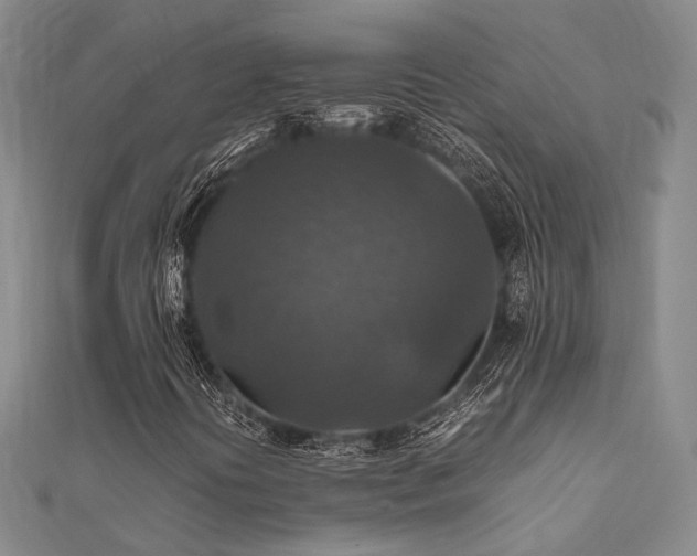 X0000112011394200908031257