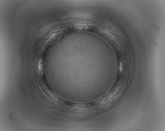 X0000112011396200908031257