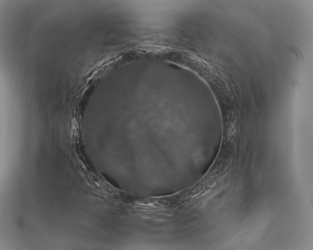 X0000112011397200908031257