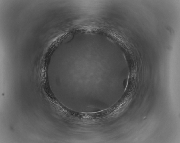 X0000112011398200908031257